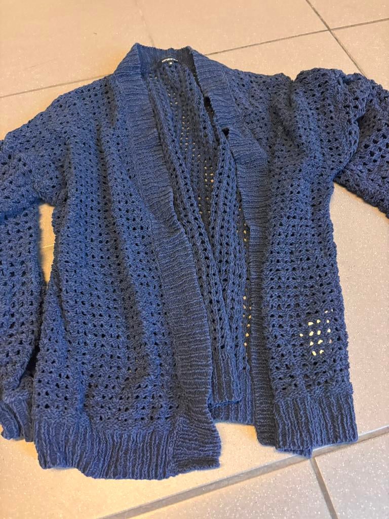 Blauwe cardigan Caroline Biss maat 38, Maat 38/40 (M), Blauw, Ophalen of Verzenden, Gedragen