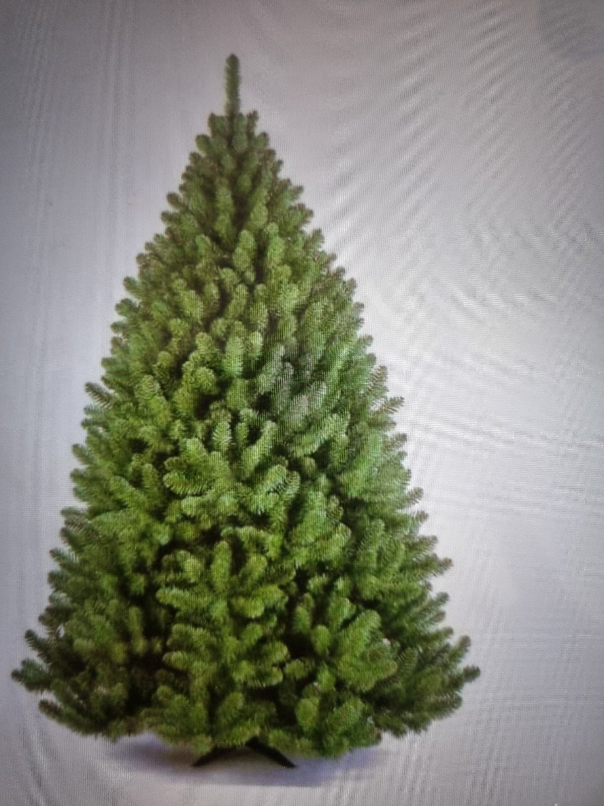 uiterst stevige kerstboom >2m, Diversen, Ophalen, Zo goed als nieuw