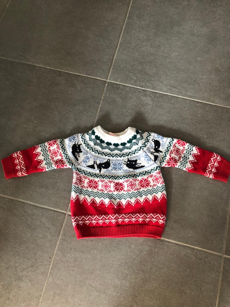 Trui Hema, maat 80, Enfants & Bébés, Vêtements de bébé | Taille 80, Enlèvement ou Envoi, Comme neuf