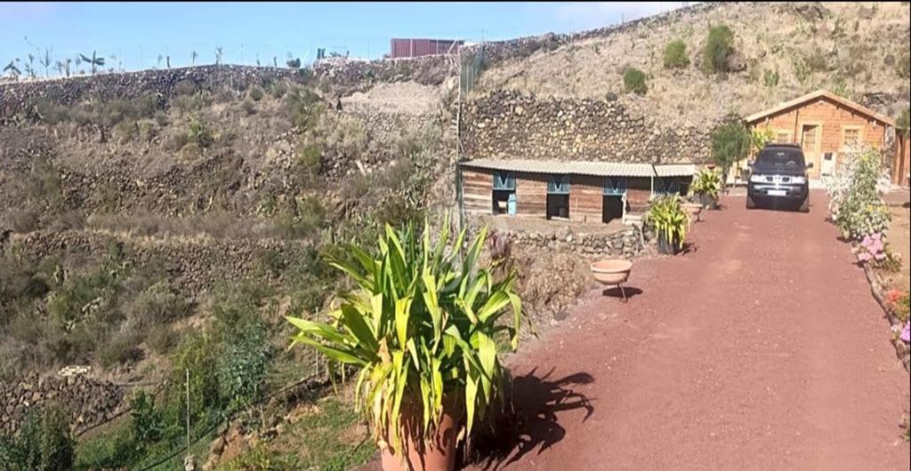 Te koop perceel van 15.000 m² met 6 huizen in Tenerife Sur, Immo