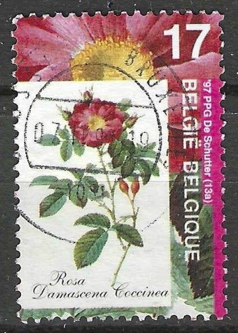 Belgie 1997 - Yvert 2709 /OBP 2708 - Flora - Rozen (ST), Verzenden, Gestempeld, Gestempeld