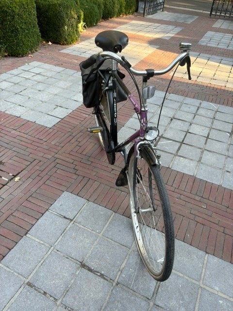 Herenfiets, Fietsen en Brommers, Gebruikt, Velgrem, Versnellingen, Ophalen