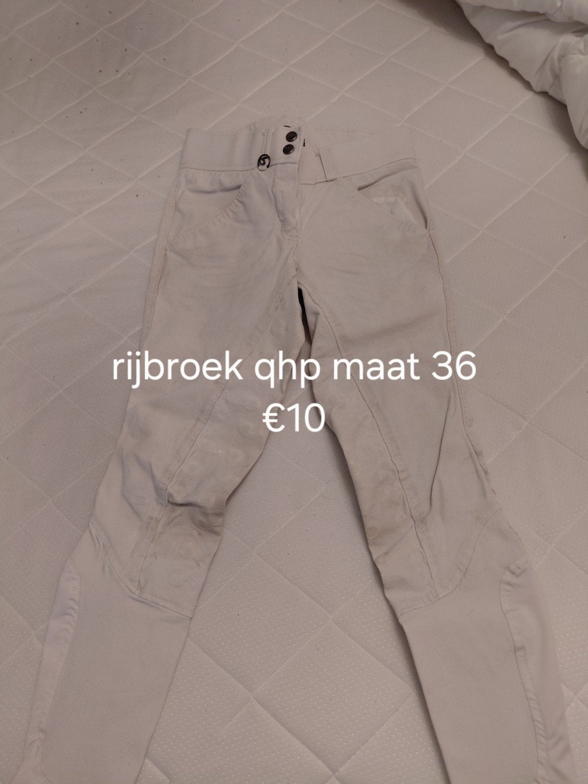 verschillende rijbroeken te koop, Dieren en Toebehoren, Ophalen, S