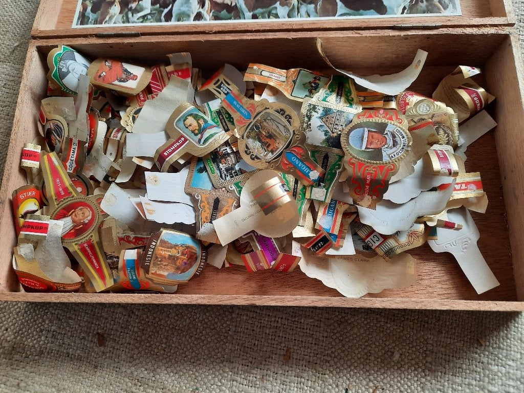 Sigarenbandjes in houten sigarenkistje., Ophalen, Nieuw, Sigarenbandjes