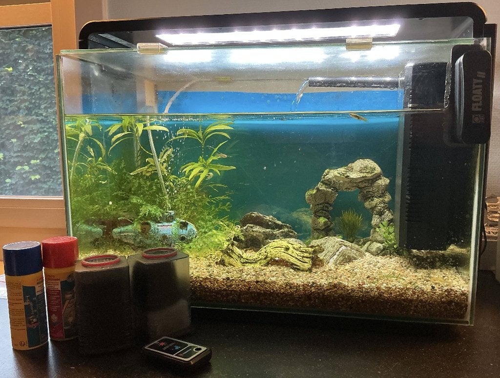 Visaquarium 60L, Dieren en Toebehoren, Gebruikt, Superfish, Ophalen, Inclusief vissen