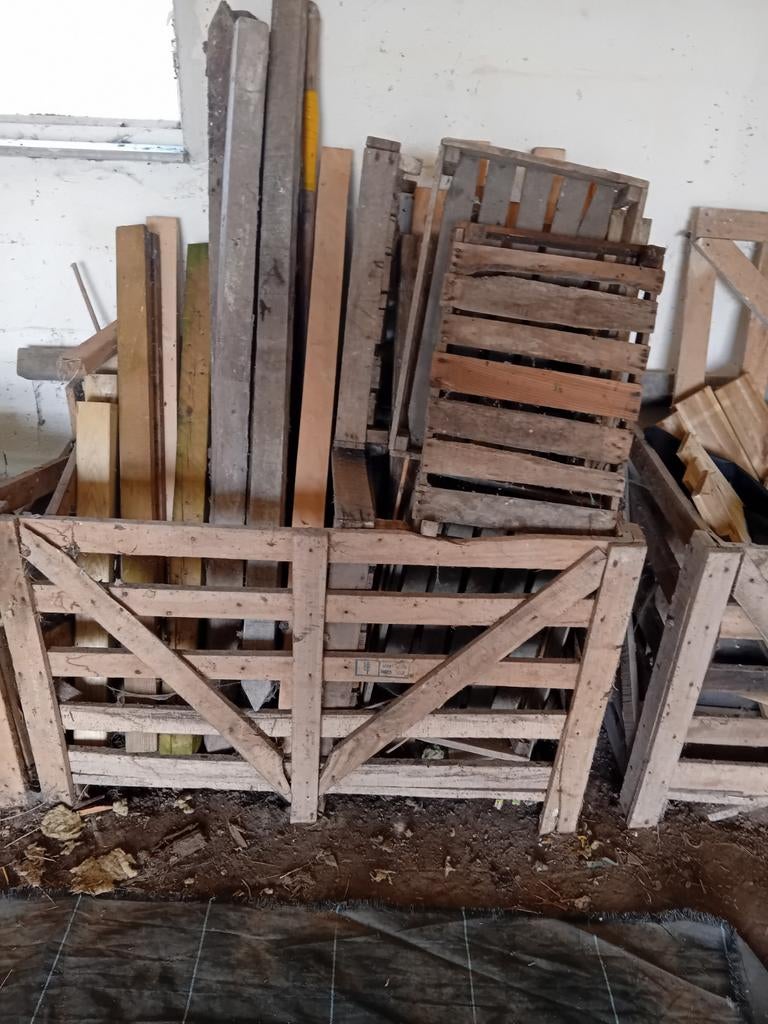 Lot hout, Ophalen