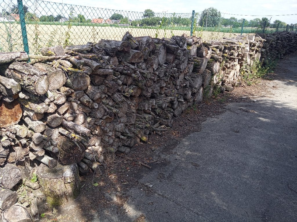 Brandhout te koop, 6 m³ ou plus, Enlèvement, Autres essences de bois, Bûches