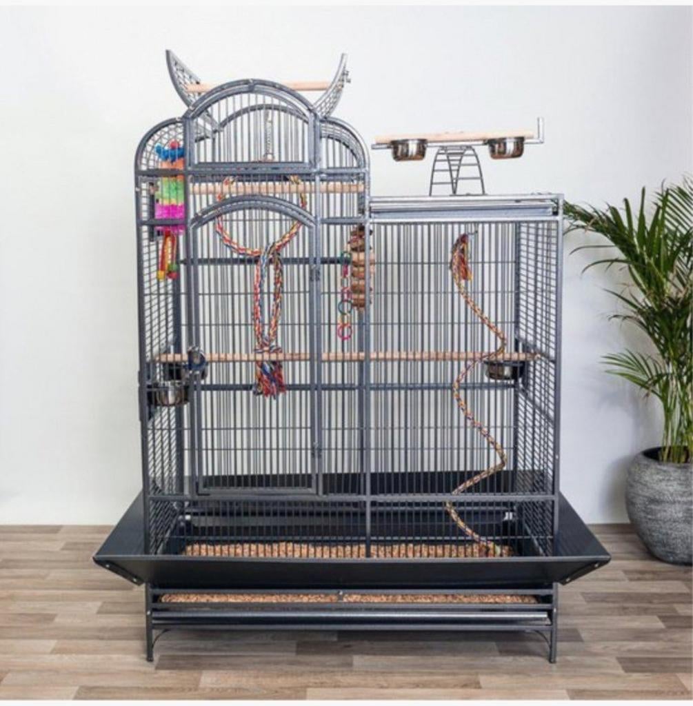 Groot papegaaikooi, Dieren en Toebehoren, Vogels | Hokken en Kooien, Ophalen