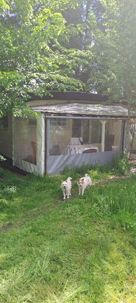 Stacaravan tiny house, Caravans en Kamperen, Stacaravans