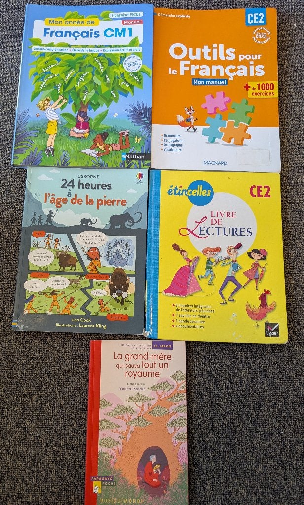 Livres école, livres lecture enfants, Enlèvement