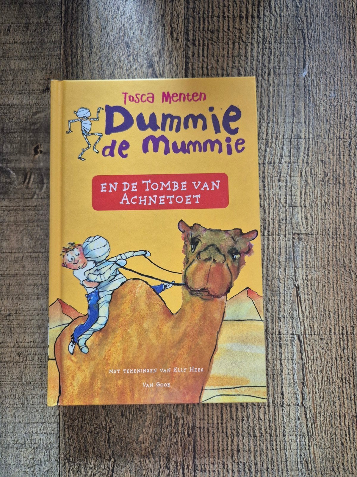 Dummie de mummie en de tombe van Achnetoet, Enlèvement, Neuf, Tosca Menten, Fiction