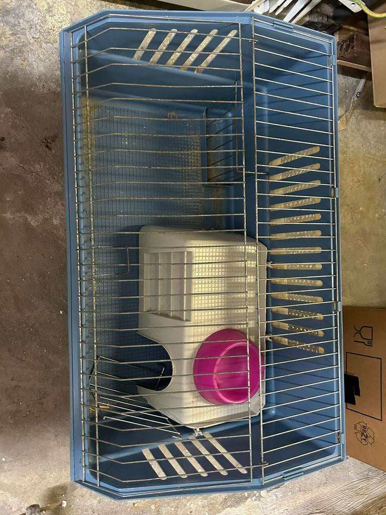 Caviakooi, Enlèvement, Utilisé, 75 à 110 cm, Cage
