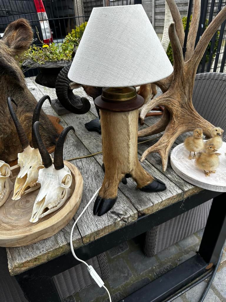 Taxidermie lamp herten poten, Huis en Inrichting, Ophalen, Zo goed als nieuw