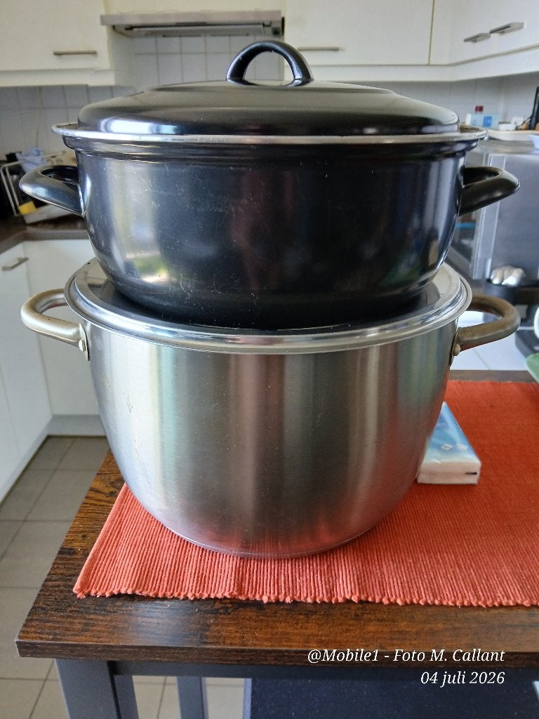 Kookpotten, Maison & Meubles, Cuisine | Casseroles & Poêles, Utilisé, Casserole, Bidon ou Boîte, Compatible induction, Résistant aux rayures