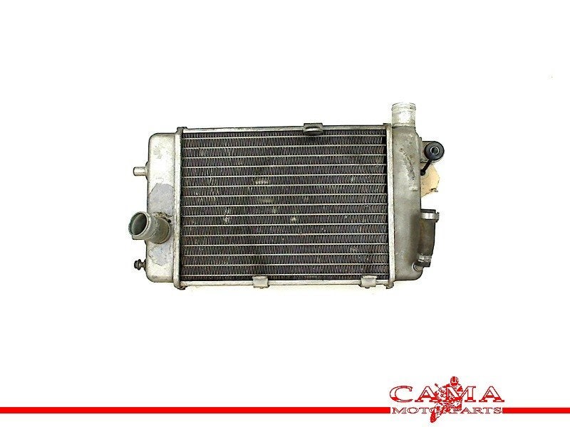RADIATEUR Aprilia RSV 1000 (R) Mille 1998-2003 (RSV1000), Motoren, Dhr. S. di Majo, Gebruikt, Info@cama-motorparts.nl, P.J. Troelstraweg 8 8
3144 CX  MAASSLUIS, NL