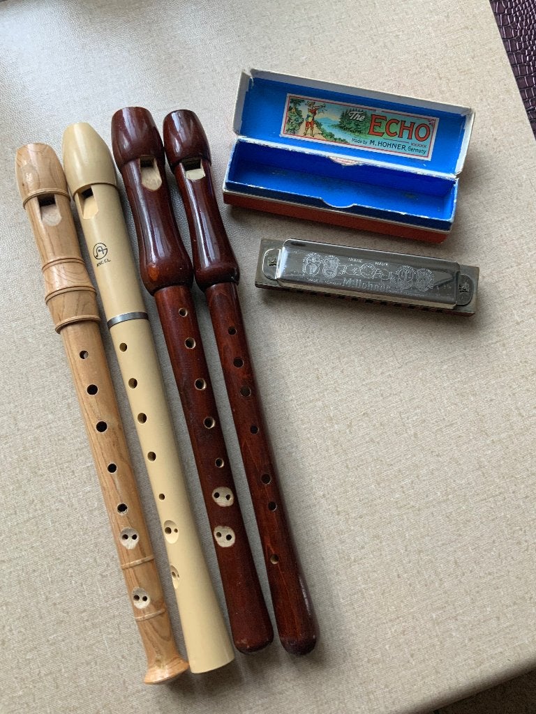 Muziekinstrumenten, Ophalen of Verzenden, Gebruikt, Overige typen