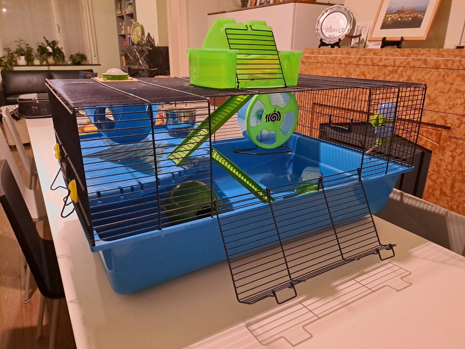 cage et accessoires pour hamsters nains, Moins de 60 cm, 75 à 110 cm, Cage, Enlèvement