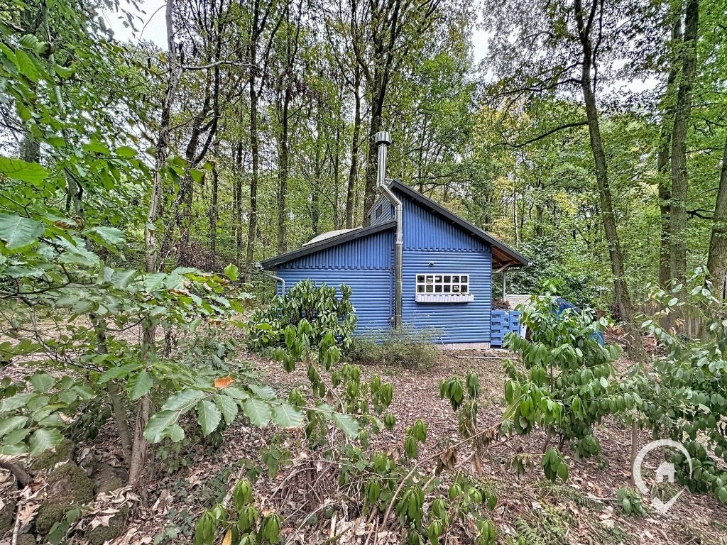 chalet rénové pour 2 personnes dans les bois, 25 m², Chalet, 1 chambres, Province de Namur