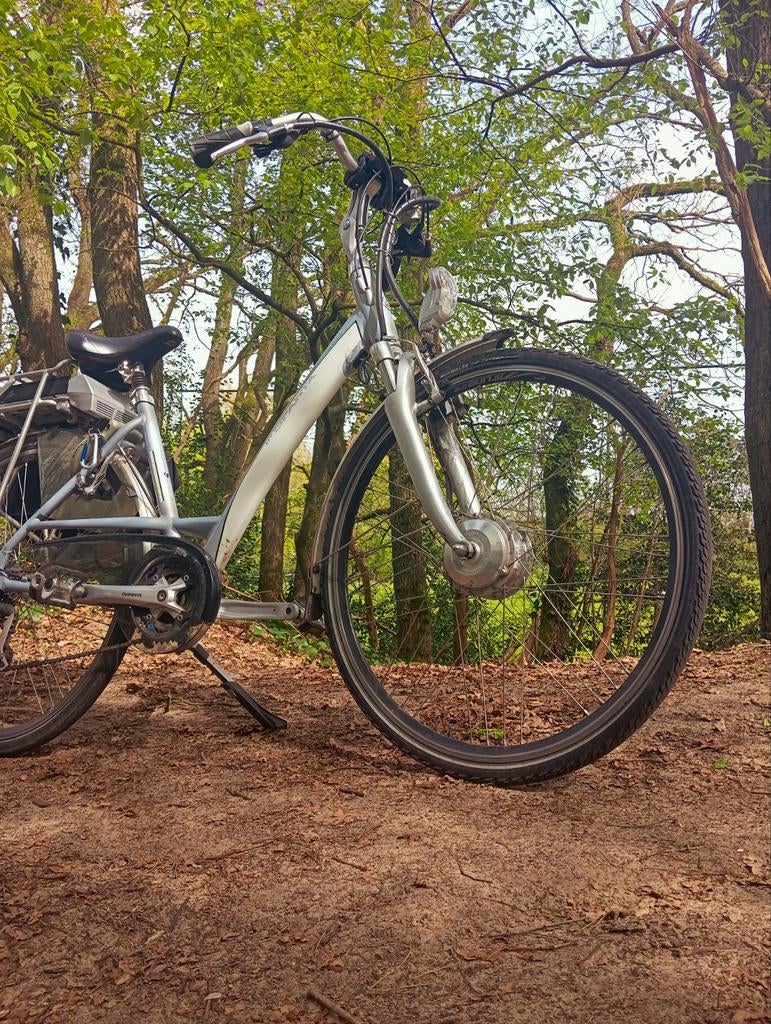 Elektrische vrouwenfiets Sparta, Ophalen, Sparta