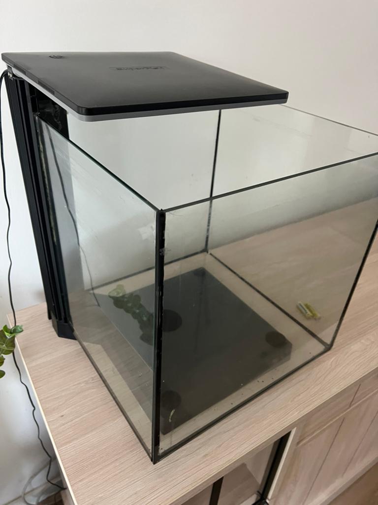 60 liter aquarium, Ophalen, Decoratie, Gebruikt, Verwarming