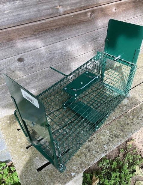 rattenval (nieuw), Tuin en Terras, Bestrijdingsmiddelen, Ophalen, Zo goed als nieuw, Ongediertebestrijding