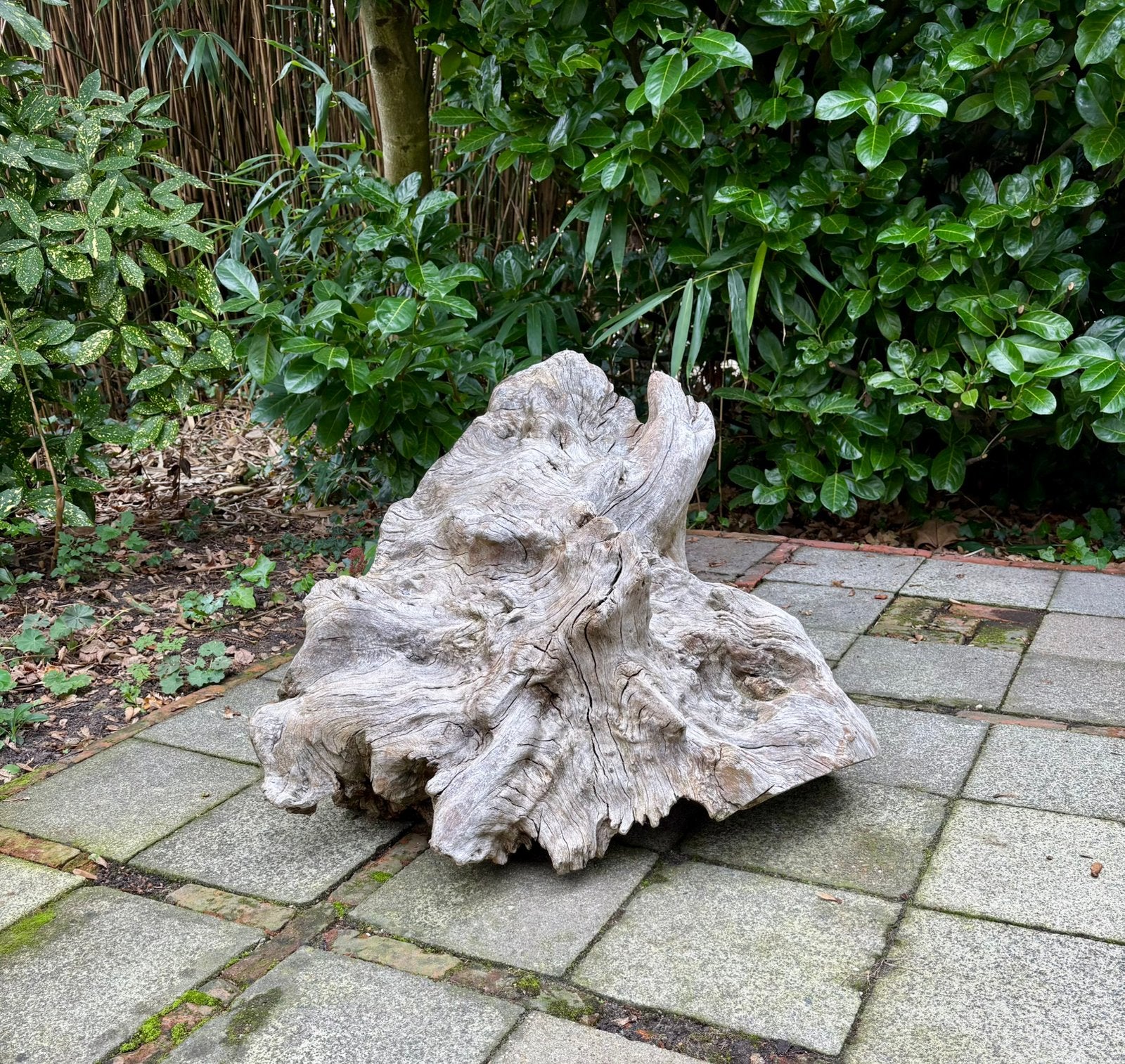 Sculpture unique de souche/racine de chêne massif 71 cm, Jardin & Terrasse, Enlèvement, Utilisé, Bois, Abstrait