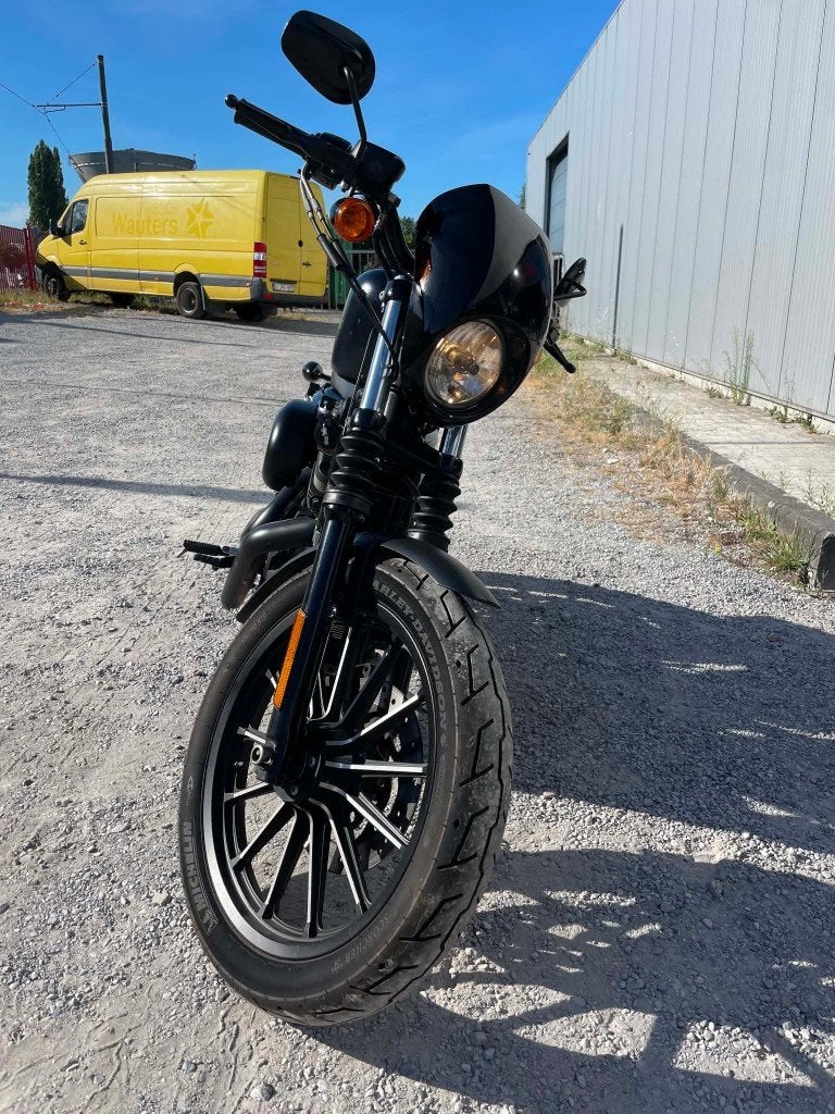 Harley Davidson Iron 883, 2 cilinders, Occasion, Bedrijf, 883 cc