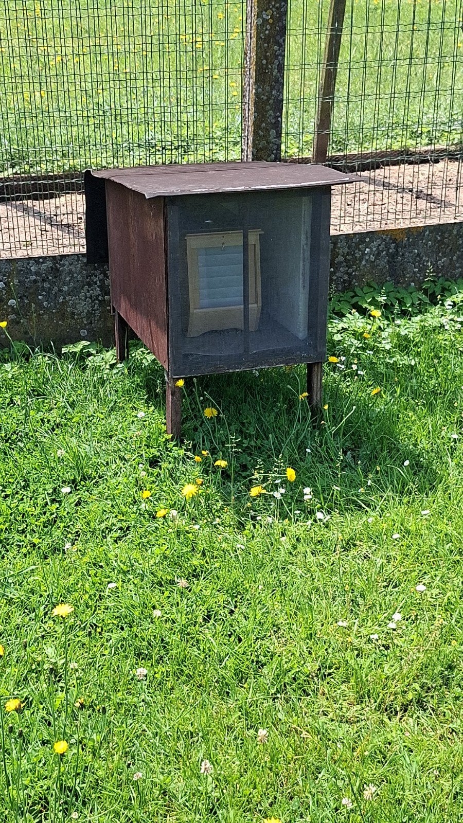 Botvink 2 kweeklingen, Dieren en Toebehoren, Ophalen