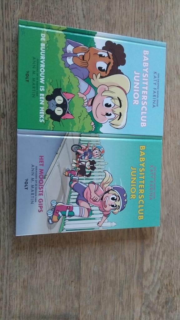 Babysittersclub boeken, Boeken, Ophalen