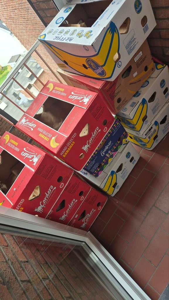 Gratis verhuisdozen 10stuks, Ophalen