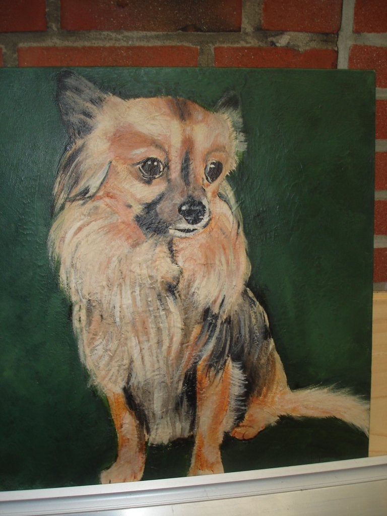 Schilderij op doek gesigneerd , lief hondje 50x50cm, Ophalen, Doek, Oud hollands, Dieren