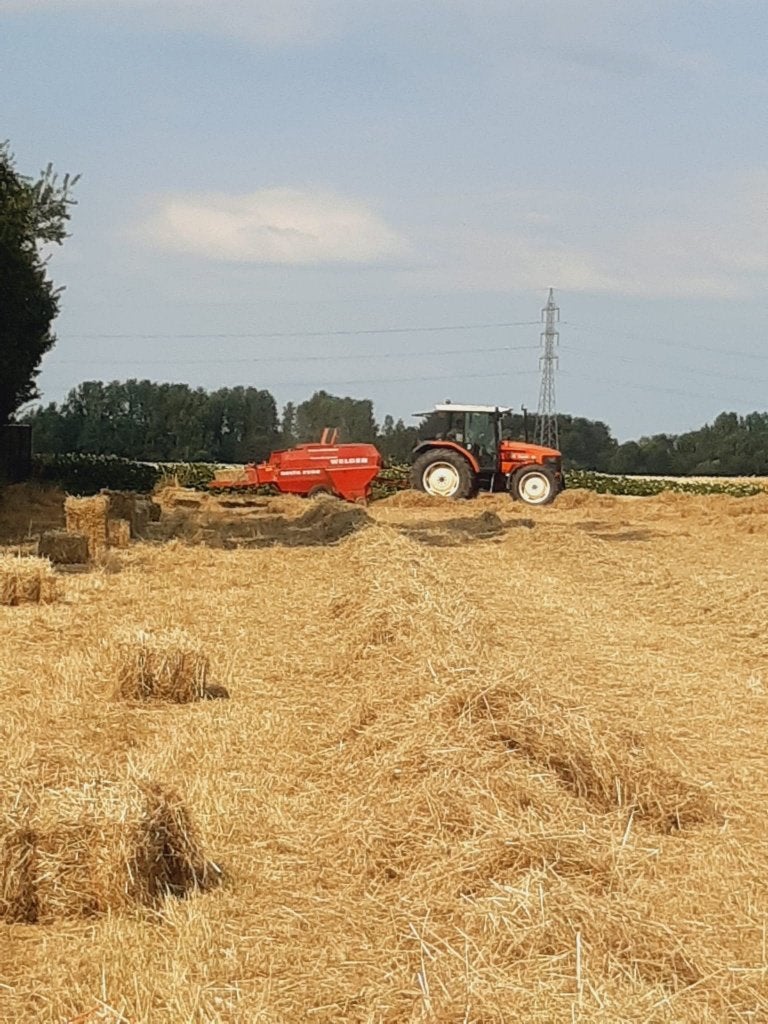 hooi te koop kleine pakken, Dieren en Toebehoren, Ophalen