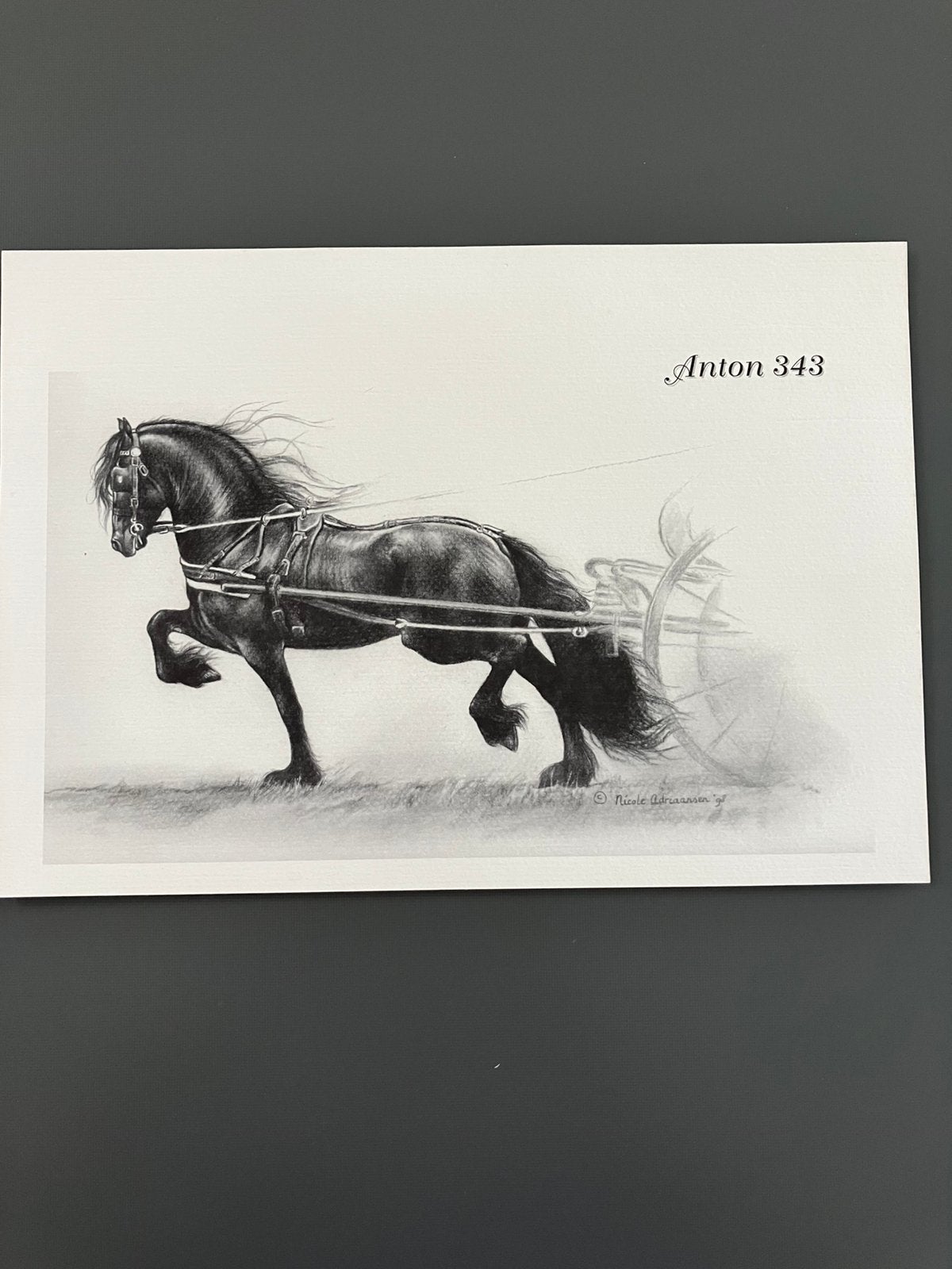 Tekening FRIESE paard., Enlèvement ou Envoi, Dessin