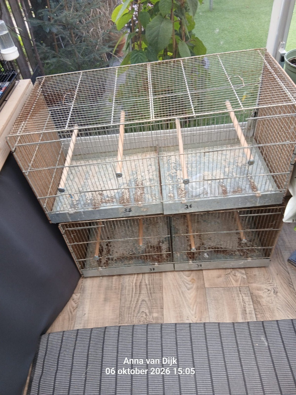2 kweekkooien, Enlèvement, Aluminium, Cage d'élevage
