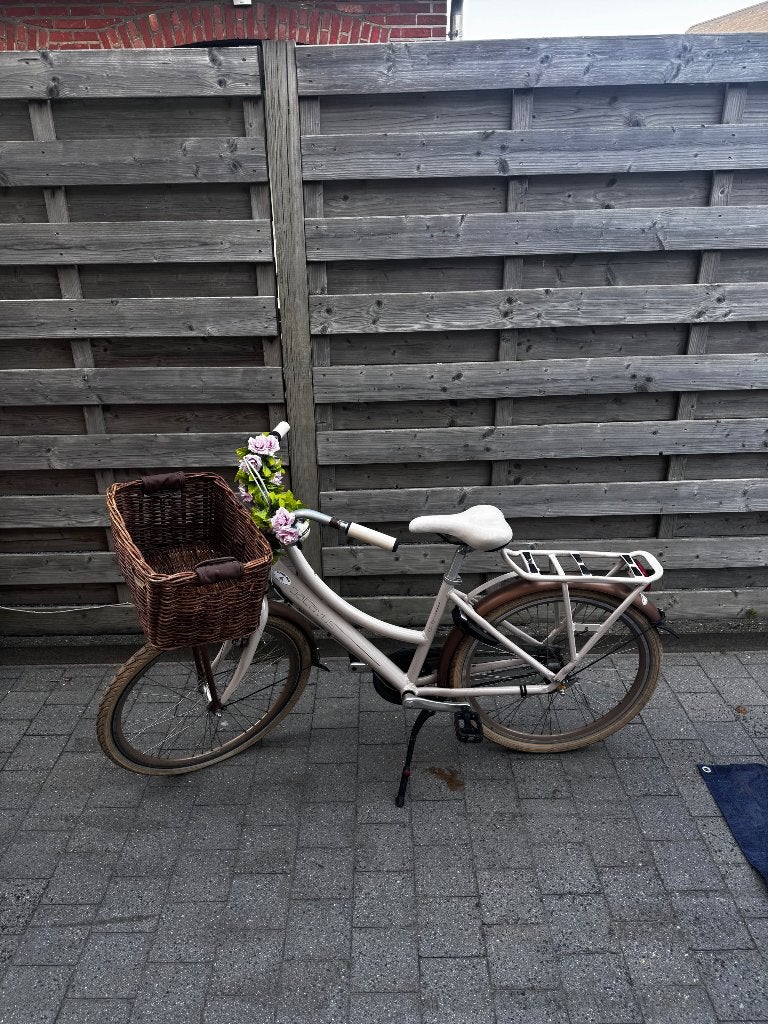 Meisjesfiets, Ophalen, Velgrem, Versnellingen, BATAVUS