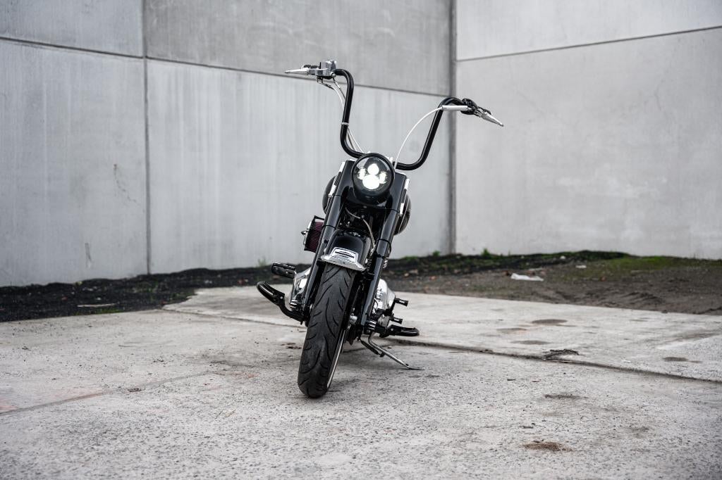 Harley-Davidson Softail de style mexicain, Entreprise, Plus de 35 kW, Chopper, 1560 cm³