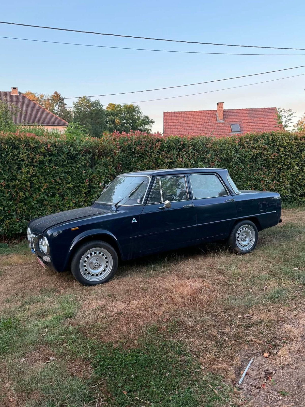 Alfa Giulia Super 1300 - 1975, 4 deurs, Blauw, Particulier, Alfa Romeo