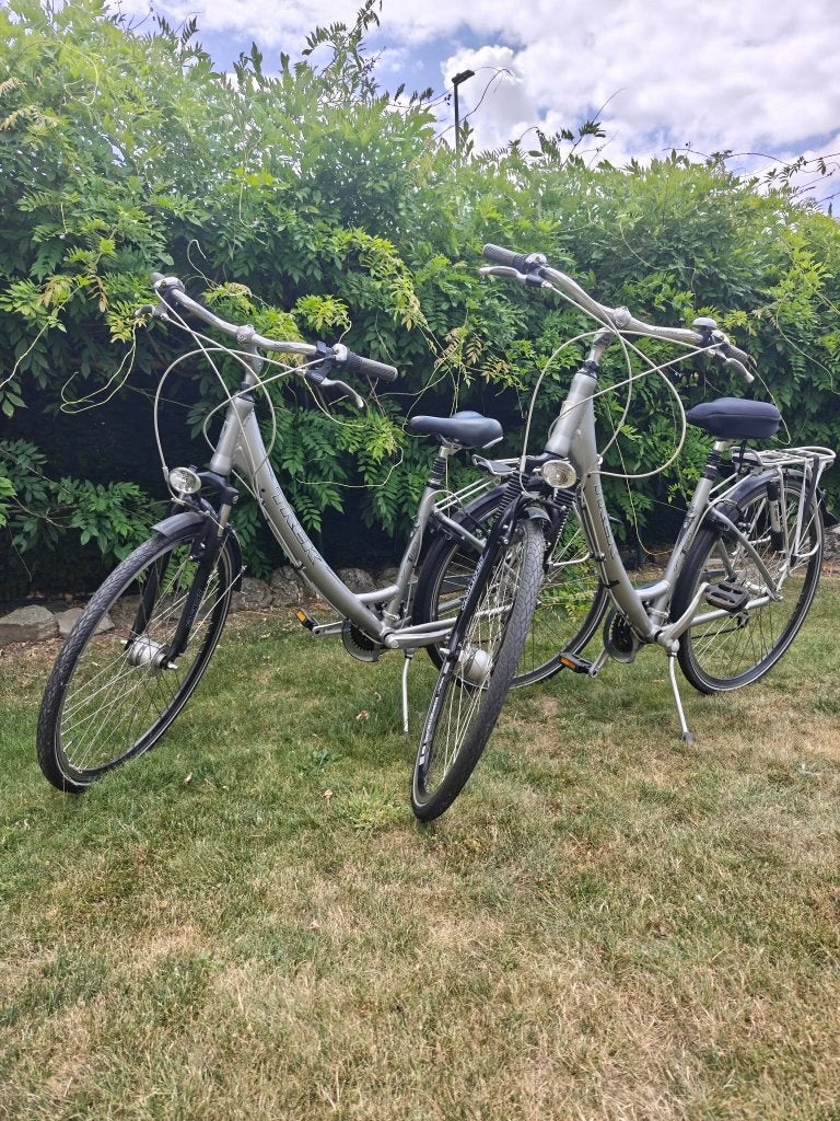 2 vélos TREK, Enlèvement, Comme neuf, Trek