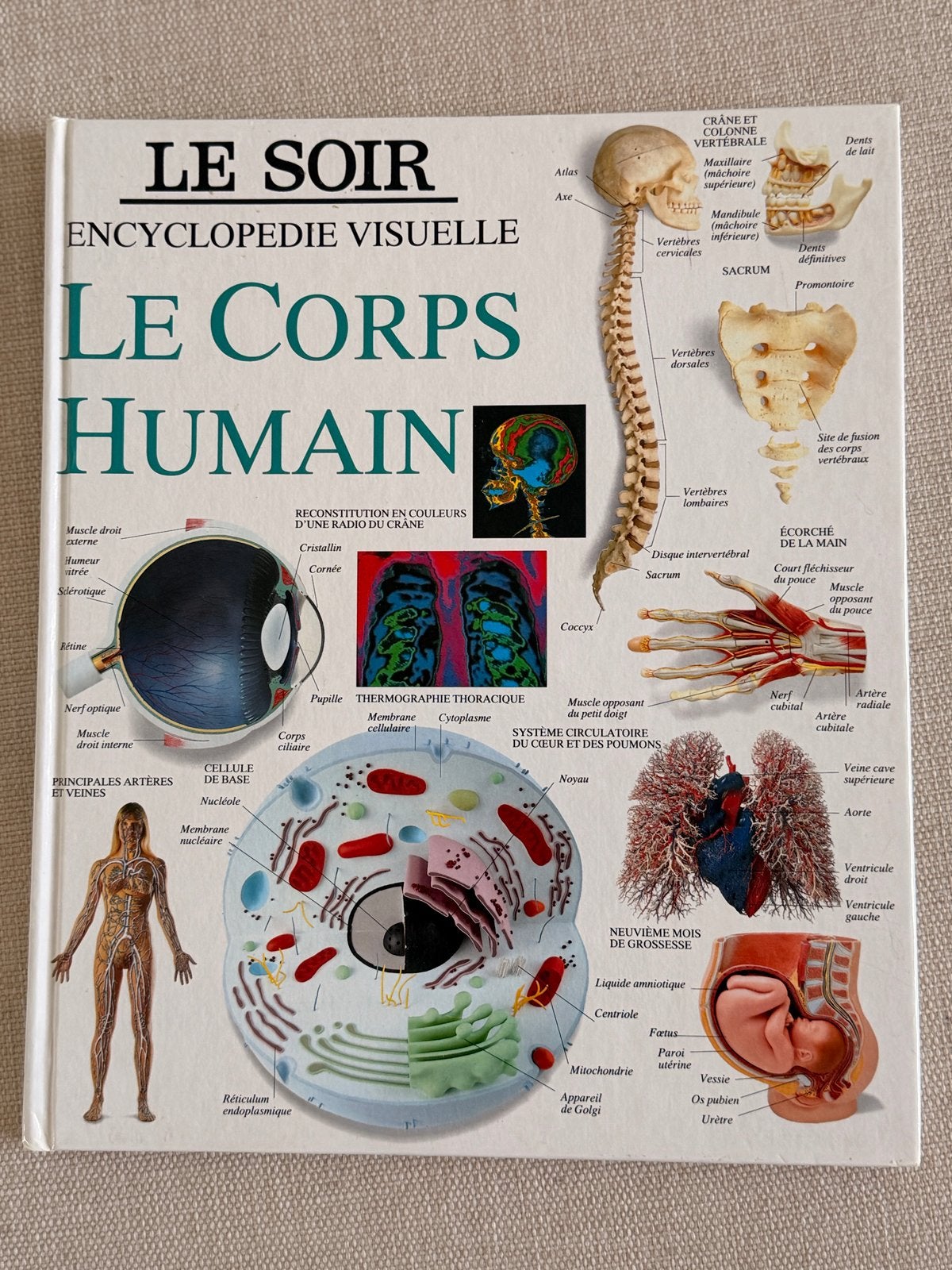 Encyclopédie visuelle Le Corps Humain, Enlèvement ou Envoi, Comme neuf