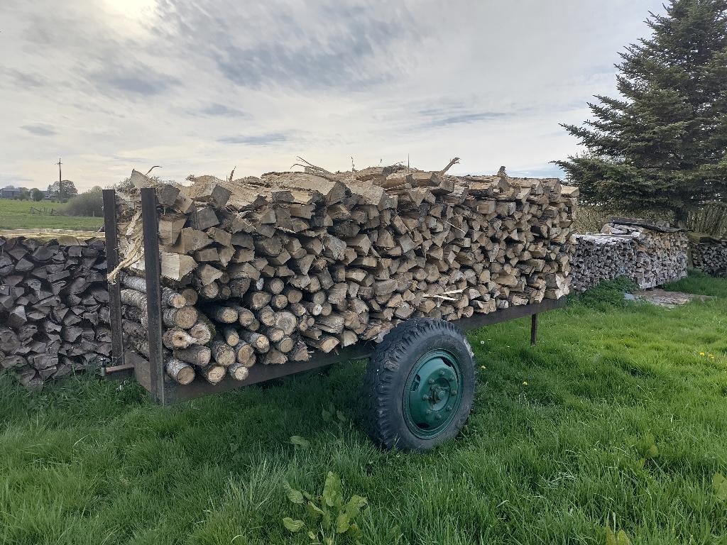 A vendre bois chauffage, 3 tot 6 m³, Ophalen, Overige houtsoorten, Blokken