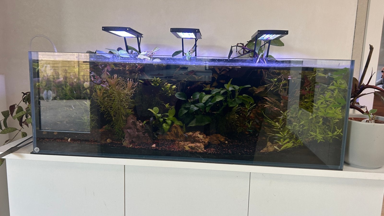 Aquarium met kast en inhoud 120l, Aquarium d'eau douce rempli, Comme neuf, Enlèvement, Poissons inclus