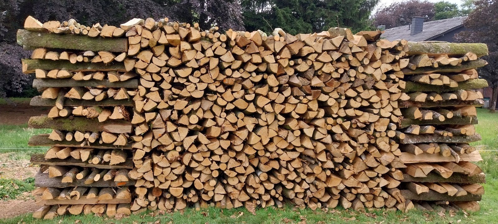 A vendre hêtre vert région Paliseul 65€ le stèr, Enlèvement, Bois