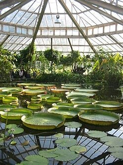 4 tickets plantentuin meise, Tickets en Kaartjes