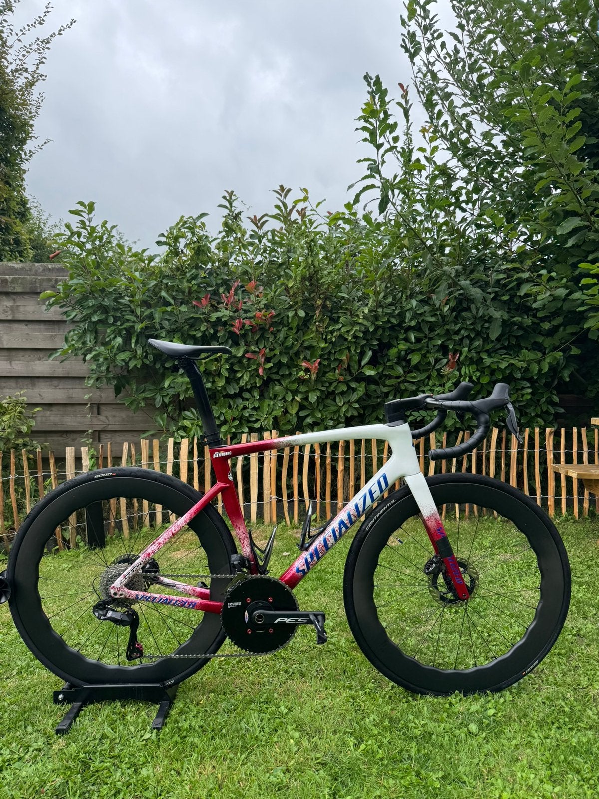 Specialized Costum, Ophalen, Zo goed als nieuw, Carbon
