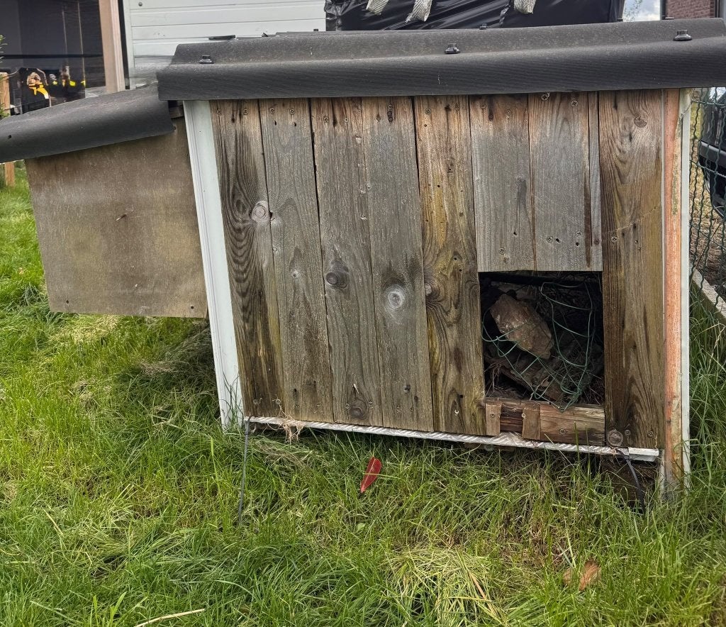 Gratis kippenhok, Ophalen, Gebruikt, Kippenhok of Kippenren