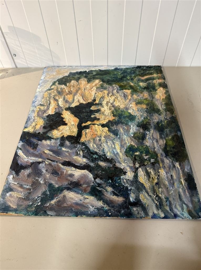 Schilderij zie fotos bos rots, Ophalen of Verzenden