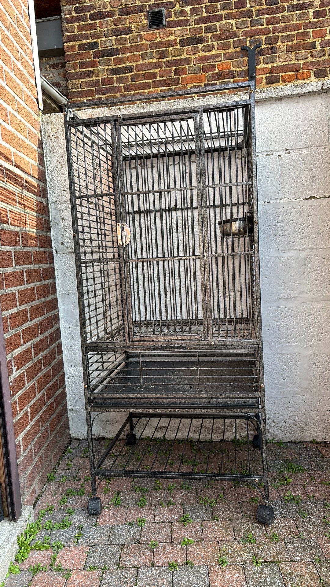 Cage perroquet, Enlèvement, Utilisé