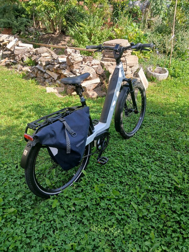 Riese & Müller elektrische fiets, 50 tot 53 cm, Ophalen, Gebruikt, Overige merken