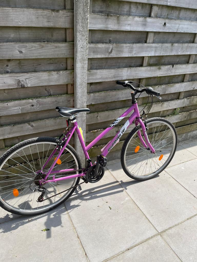 Dames fiets, Vélos & Vélomoteurs, Vélos | Femmes | Vélos de sport & de randonnée, 10 à 15 vitesses, Frein sur jante, Enlèvement