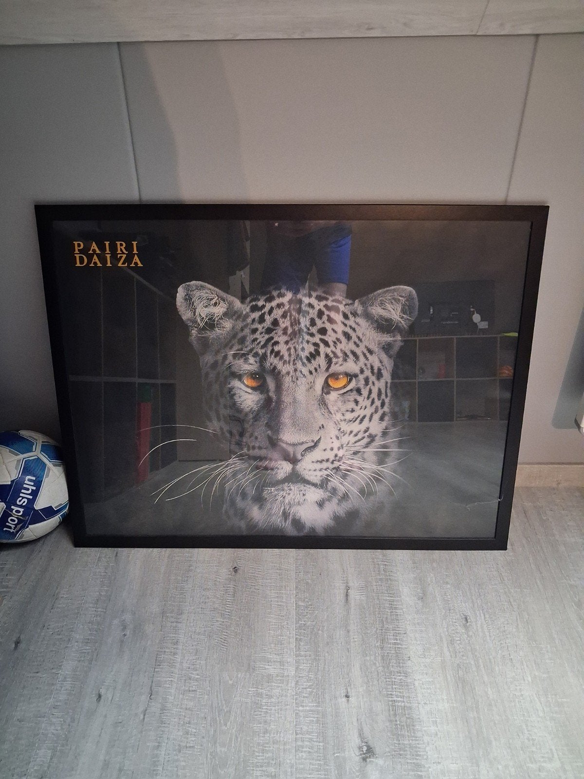 Cadre + affiche de Pairi Daiza - 80X60cm, Maison & Meubles, 50 – 75, Comme neuf, 75 à 100 cm, Enlèvement